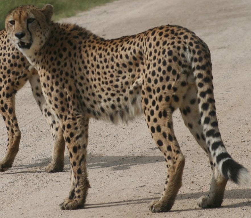 2922d46c-4911-4d15-acba-385b8024f92d